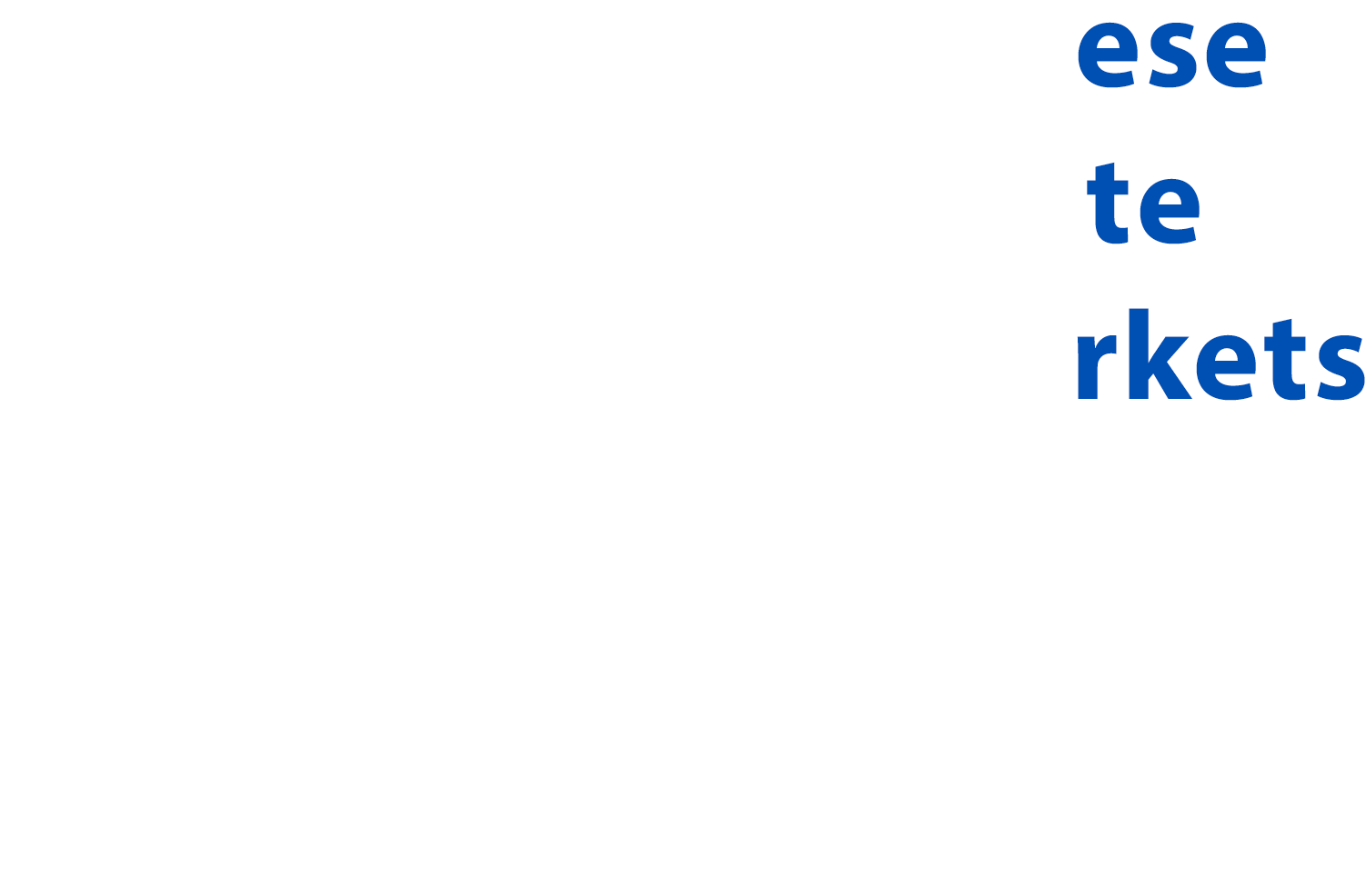 We support Japanese companies to create new emerging markets with continuous economic growth together.