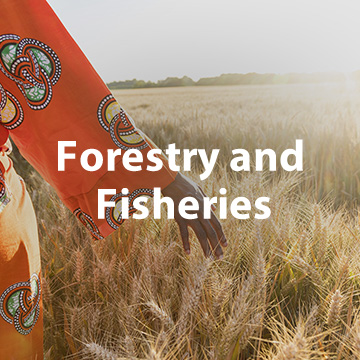 Forestry and  Fisheries